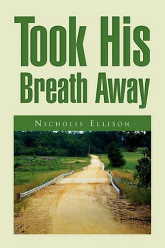 Cover image for Took His Breath Away