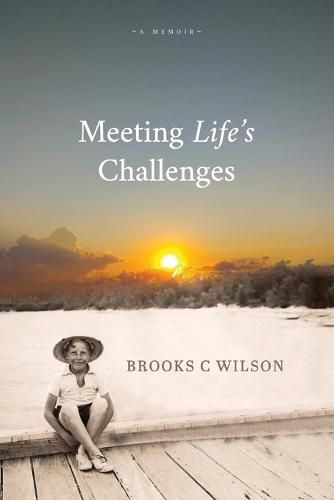 Cover image for Meeting Life's Challenges