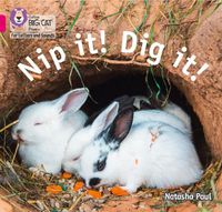 Cover image for Nip it! Dig it!: Band 01b/Pink B
