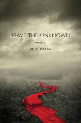 Cover image for Brave the Unknown