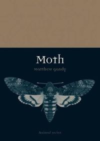 Cover image for Moth