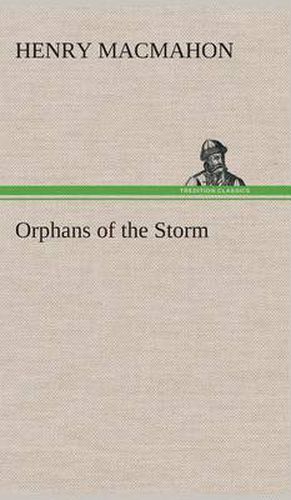 Cover image for Orphans of the Storm