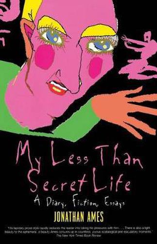 My Less Than Secret Life: A Diary, Fiction, Essays