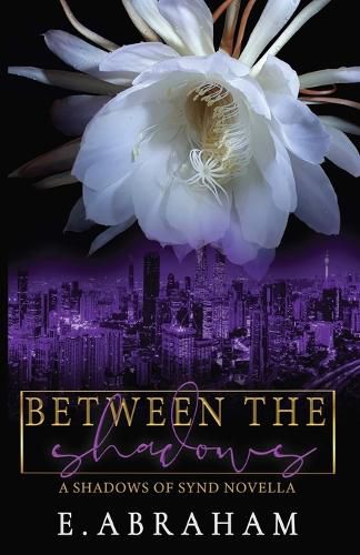 Cover image for Between the Shadows