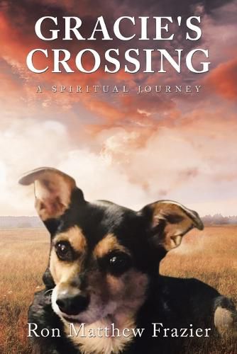 Cover image for Gracie's Crossing