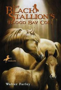 Cover image for The Black Stallion's Blood Bay Colt: (Reissue)