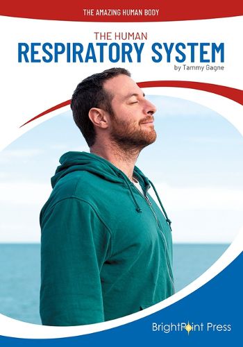 The Human Respiratory System