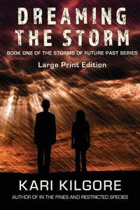 Cover image for Dreaming the Storm