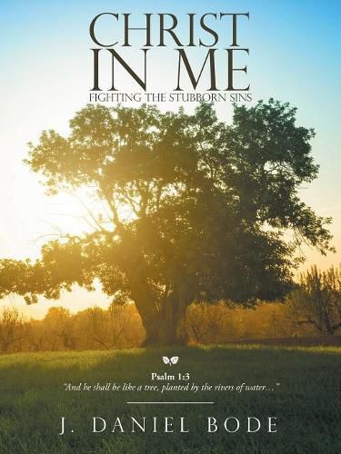 Cover image for Christ in Me: Fighting the Stubborn Sins