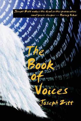Cover image for The Book of Voices-Expanded Edition