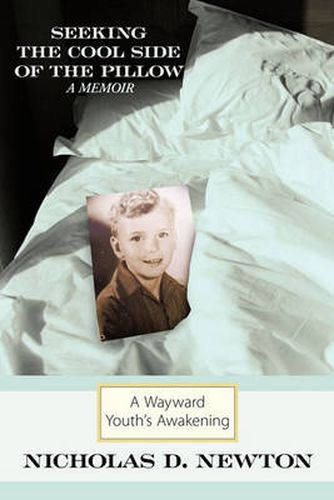 Cover image for Seeking the Cool Side of the Pillow