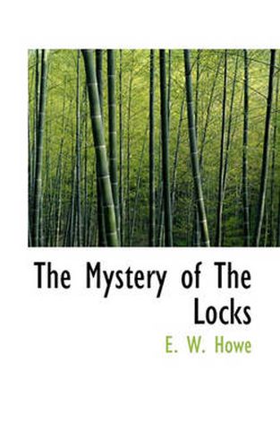 Cover image for The Mystery of The Locks