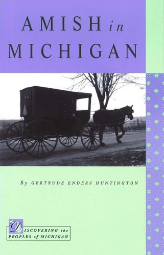 Cover image for Amish in Michigan