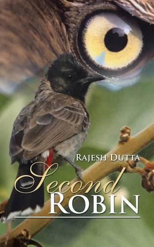 Cover image for Second Robin: Part II