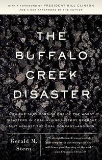 Cover image for The Buffalo Creek Disaster: How the survivors of one of the worst disasters in coal-mining history brought suit against the coal company--and won