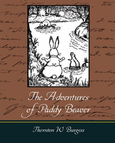 Cover image for The Adventures of Paddy Beaver