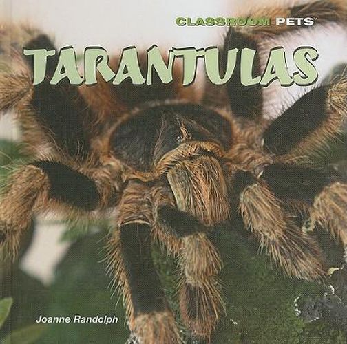 Tarantulas