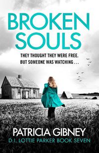 Cover image for Broken Souls: An absolutely addictive mystery thriller with a brilliant twist