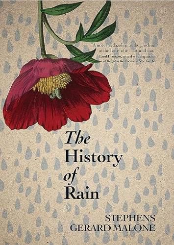 Cover image for The History of Rain