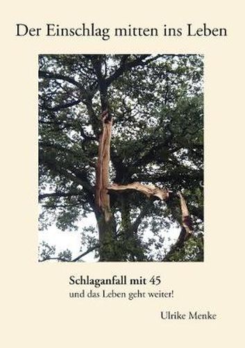 Cover image for Der Einschlag mitten ins Leben: Schlaganfall mit 45 und das Leben geht weiter!