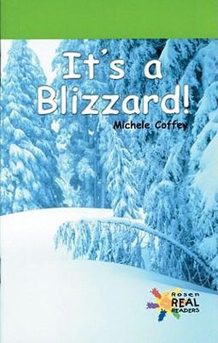 Cover image for It's a Blizzard!
