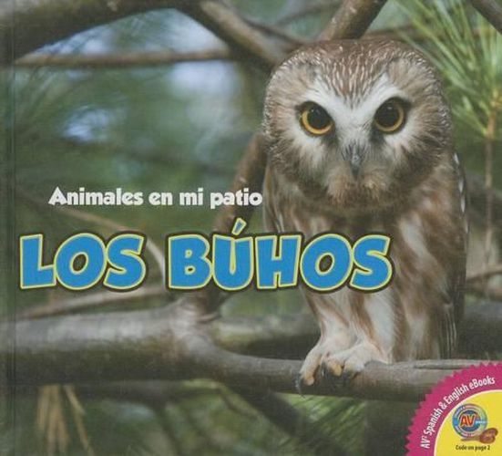 Cover image for Los Buhos