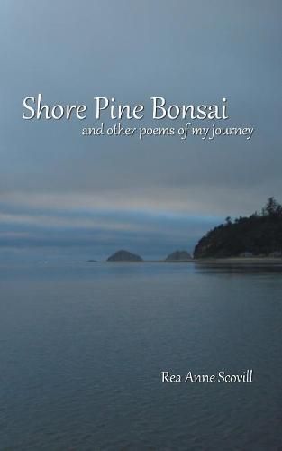 Cover image for Shore Pine Bonsai