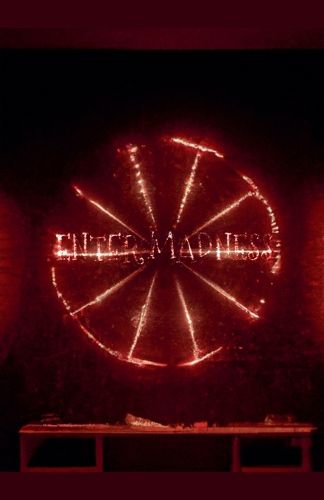 Cover image for Enter Madness