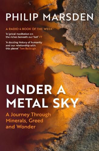 Cover image for Under a Metal Sky