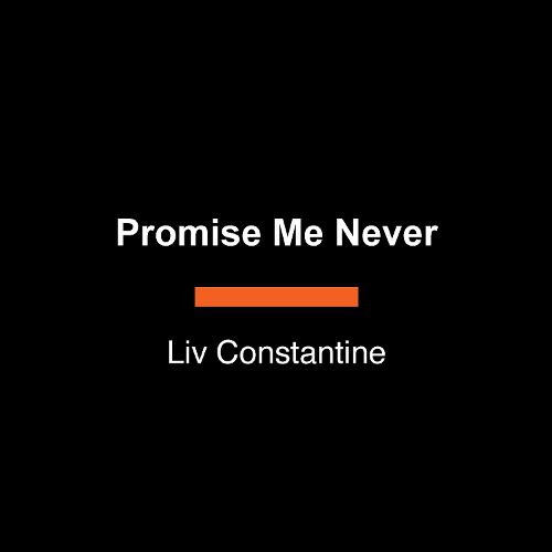 Cover image for Promise Me Never