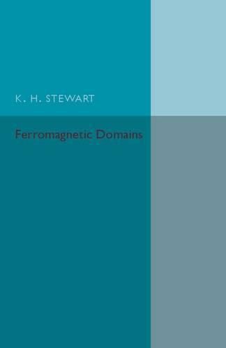 Cover image for Ferromagnetic Domains