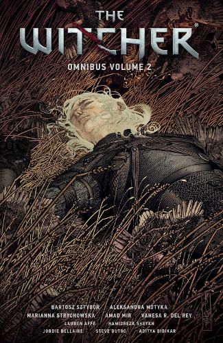 Cover image for The Witcher Omnibus Volume 2