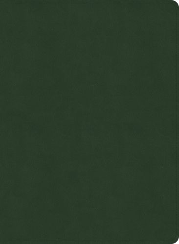 NASB Study Bible, Olive Leathertouch, Indexed