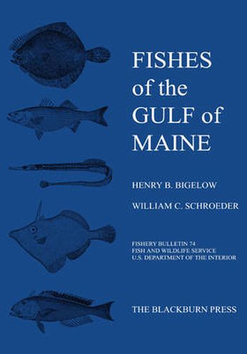 Cover image for Fishes of the Gulf of Maine: Fishery Bulletin 74