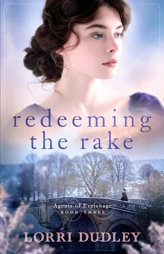 Cover image for Redeeming the Rake