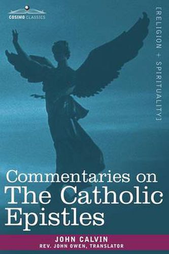 Cover image for Commentaries on the Catholic Epistles