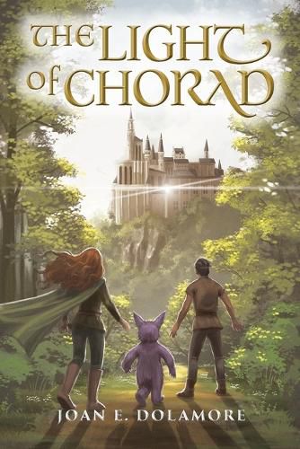Cover image for The Light of Chorad