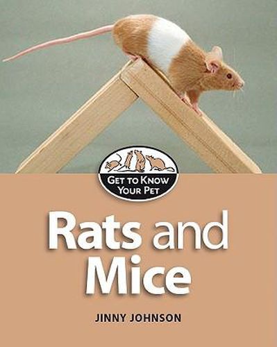 Rats and Mice