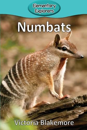Cover image for Numbats