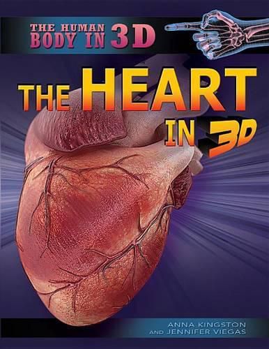 The Heart in 3D