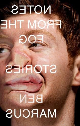 Cover image for Notes from the Fog