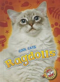 Cover image for Ragdolls