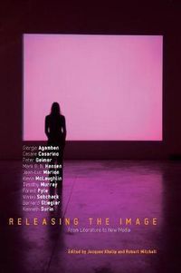 Cover image for Releasing the Image: From Literature to New Media