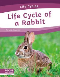 Cover image for Life Cycles: Life Cycle of a Rabbit