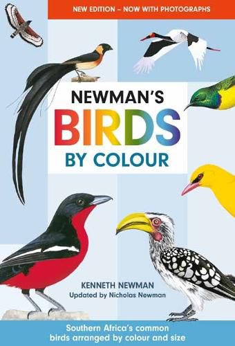 Cover image for Newman's Birds by Colour