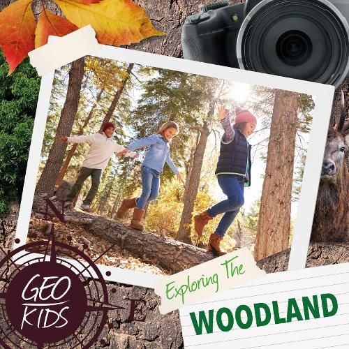 Cover image for Exploring the Woodland