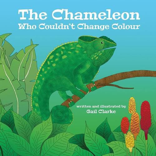 Cover image for The Chameleon Who Couldn't Change Colour