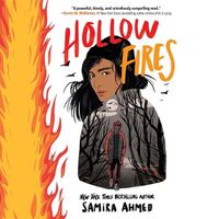Cover image for Hollow Fires