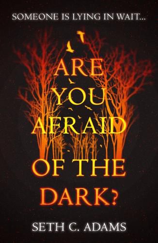 Cover image for Are You Afraid of the Dark?