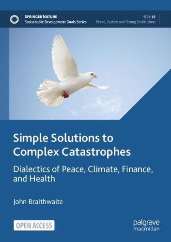 Cover image for Simple Solutions to Complex Catastrophes